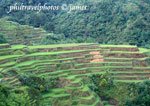 Banaue Rice Terraces